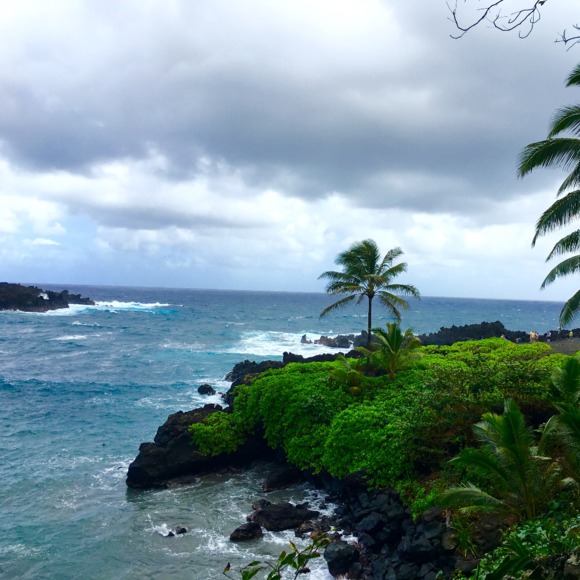 Meet your Posher, Nik - Picture 1 of 1